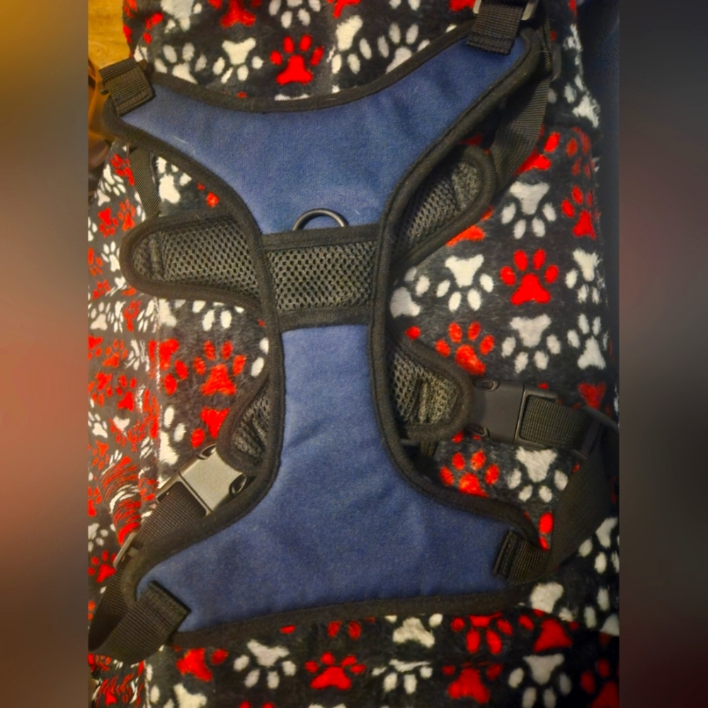 Dog Harness